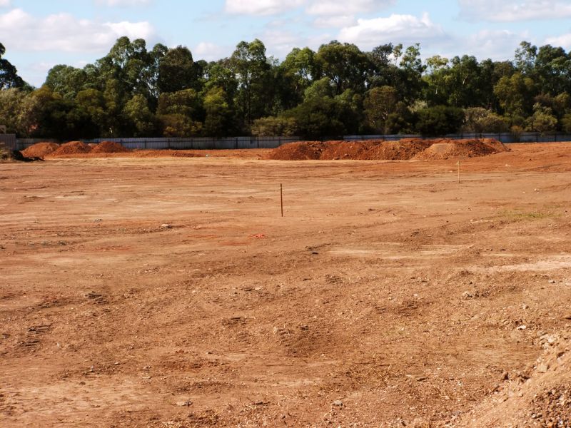 Brush Clearing and Site Preparation