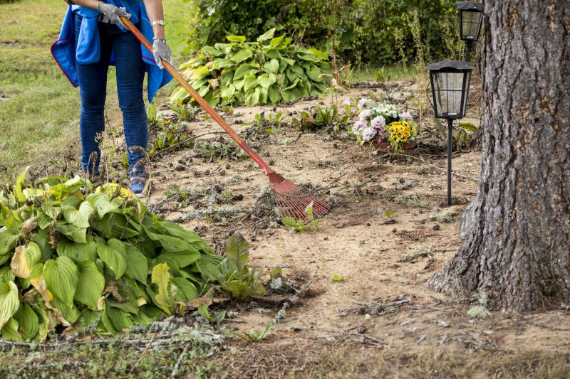 Seasonal Considerations