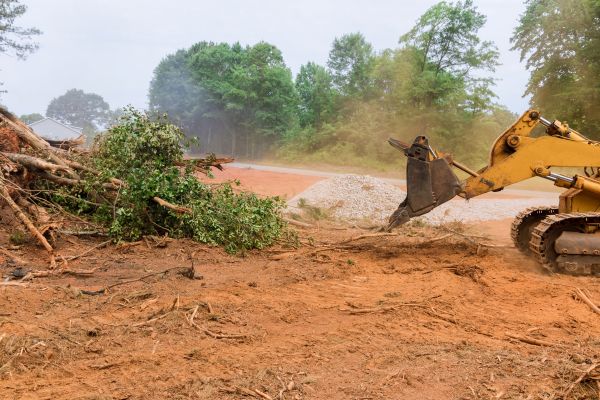 Ground Clearing in Houston