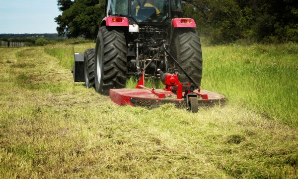 Brush Clearing Service in Houston