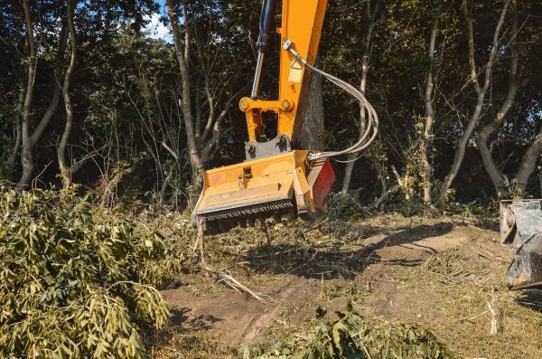 Brush Removal Service in Houston