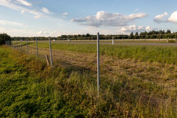 Cost of Property Line Clearing in Houston