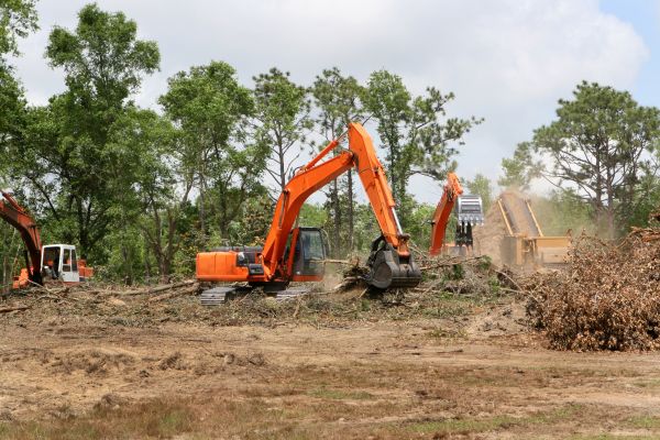 Cost of Commercial Lot Clearing in Houston