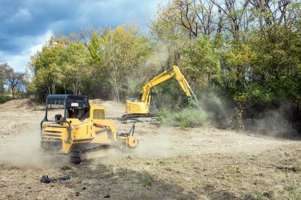Cost of Terrain Clearing in Houston