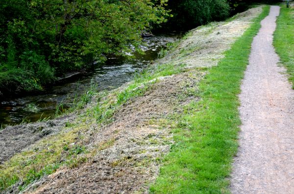 Cost of Trail Cutting in Houston